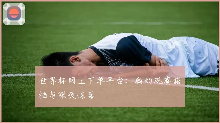 世界杯网上下单平台:我的观赛搭档与深夜惊喜