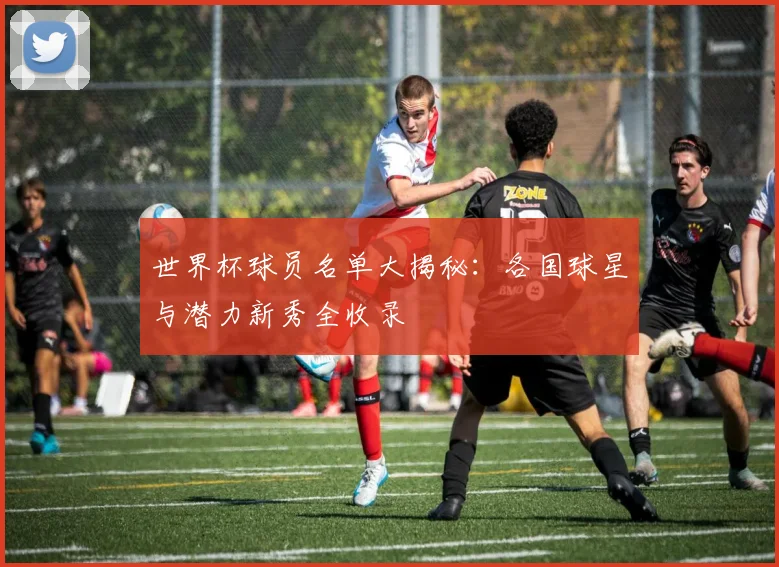 世界杯球员名单大揭秘:各国球星与潜力新秀全收录