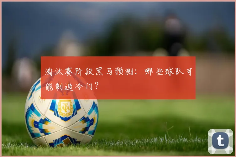 淘汰赛阶段黑马预测:哪些球队可能制造冷门?