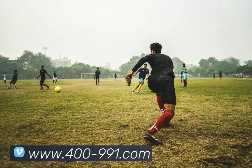 完美体育在线登录入口发展历程